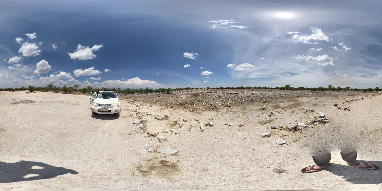 Etosha National Park,  Namibia