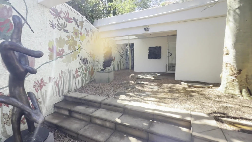 Everard Read, Johannesburg South Africa