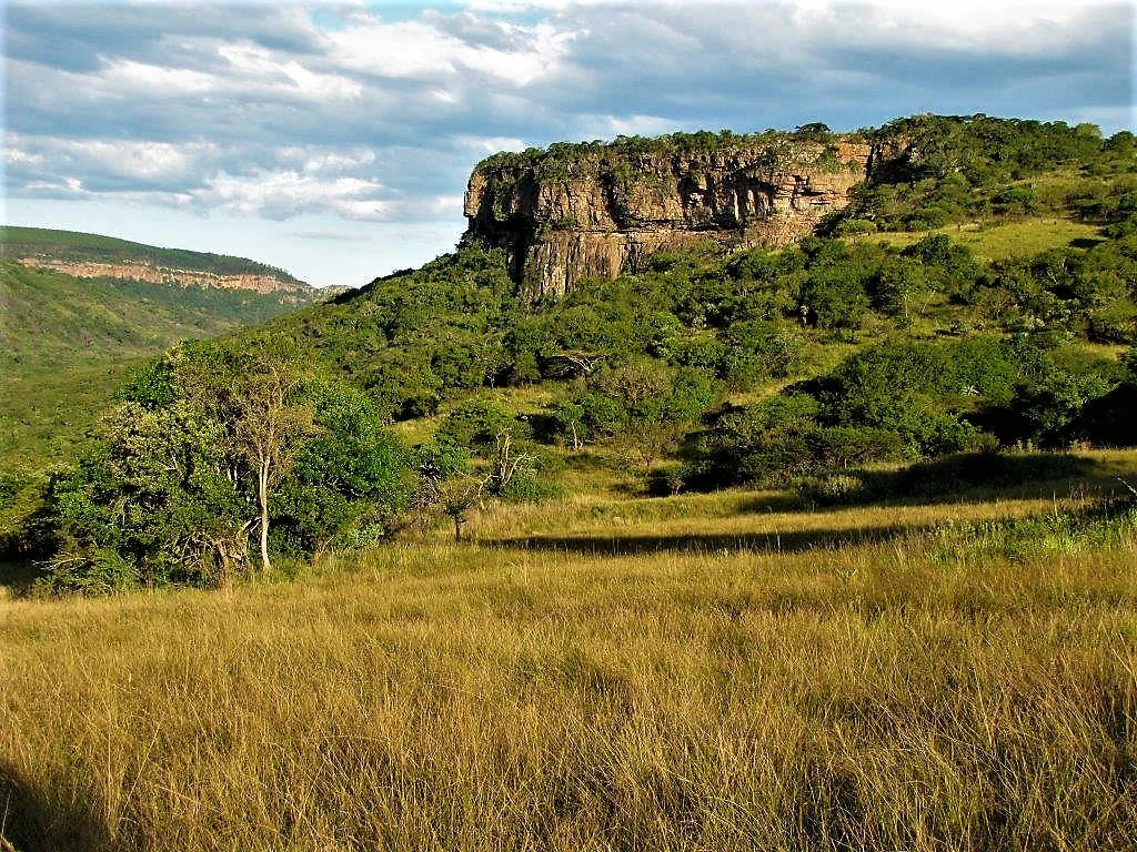 Ezemvelo KZN-Nature Reserve, Pietermaritzburg South Africa
