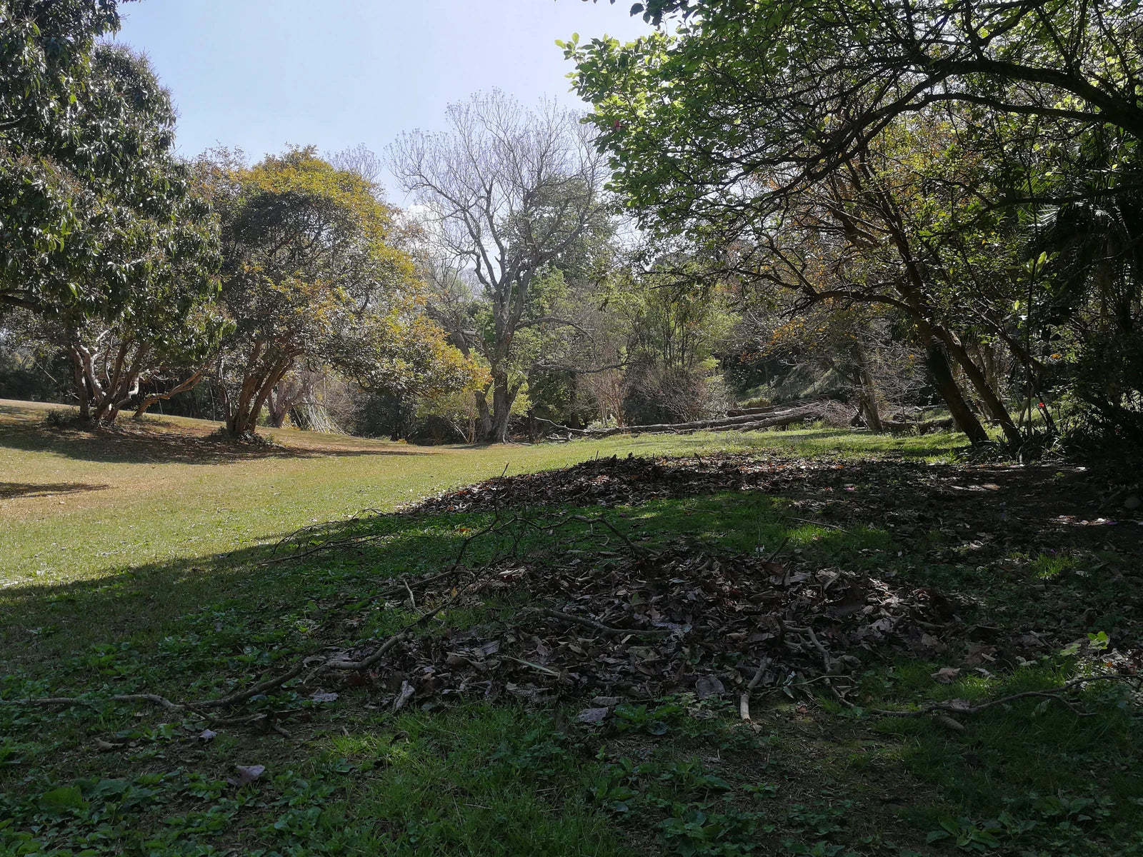 Ezemvelo KZN-Nature Reserve, Pietermaritzburg South Africa