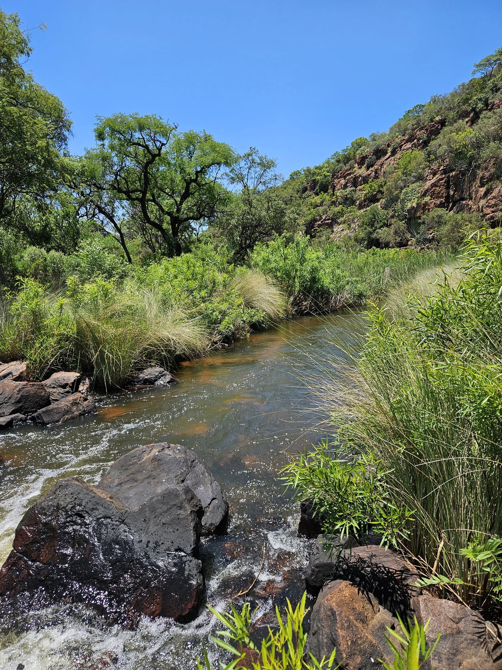Ezemvelo Nature Reserve, Bronkhorstspruit South Africa