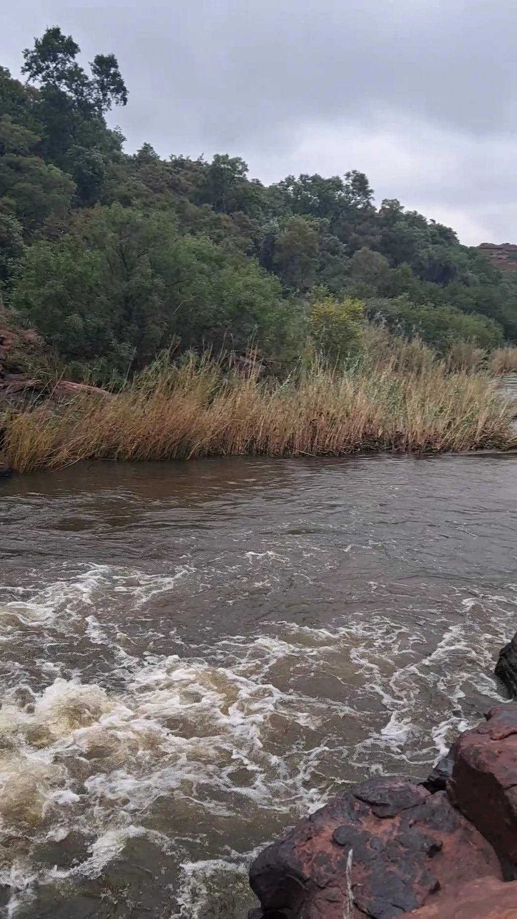 Ezemvelo Nature Reserve, Bronkhorstspruit South Africa