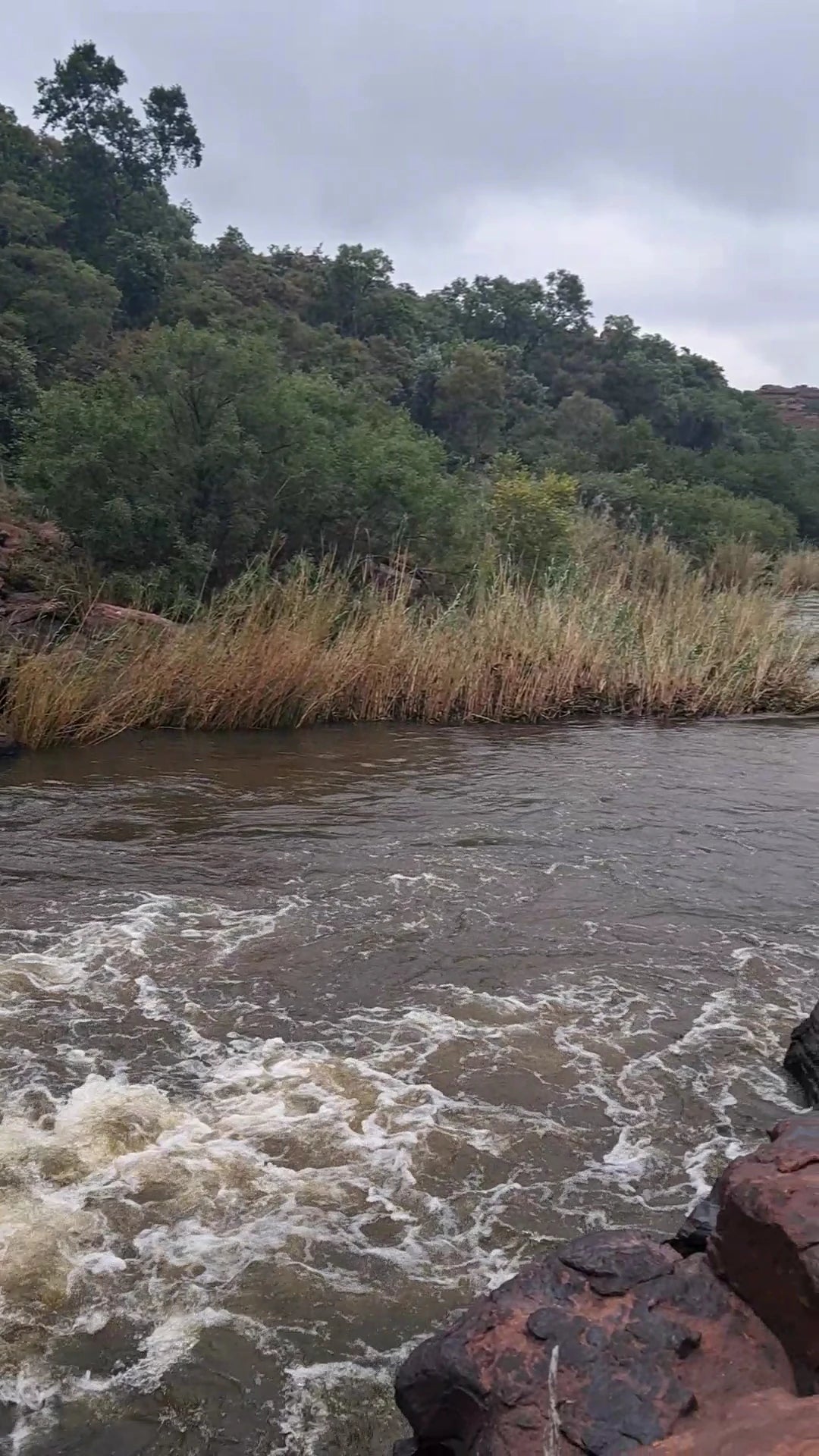 Ezemvelo Nature Reserve, Bronkhorstspruit South Africa