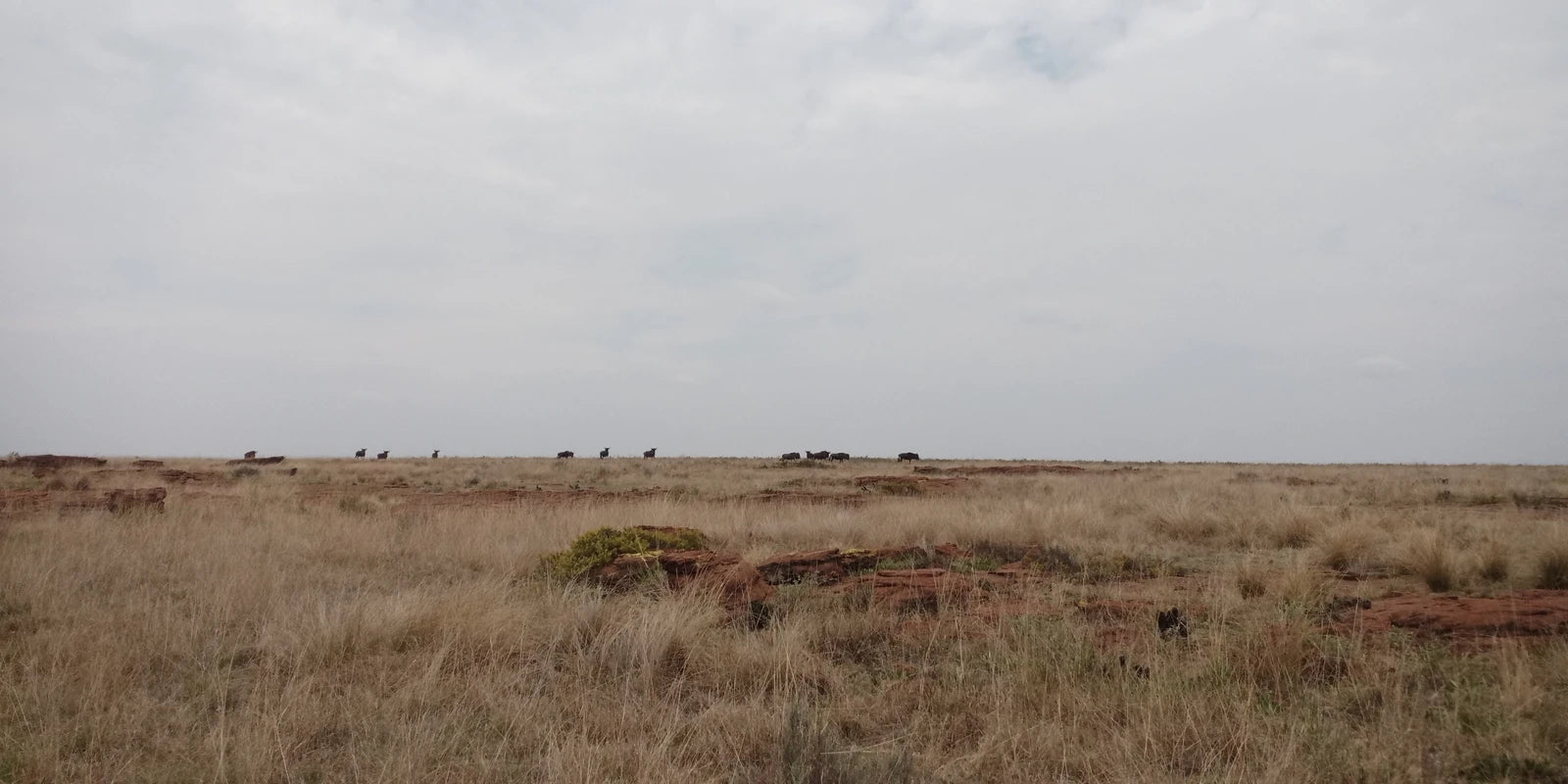 Ezemvelo Nature Reserve, Bronkhorstspruit South Africa