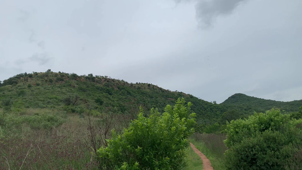 Faerie Glen Nature Reserve, Pretoria South Africa