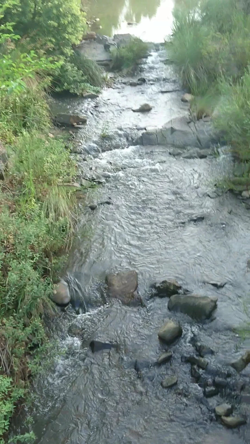 Faerie Glen Nature Reserve, Pretoria South Africa