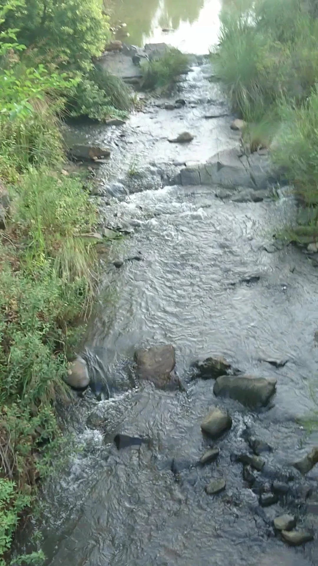 Faerie Glen Nature Reserve, Pretoria South Africa