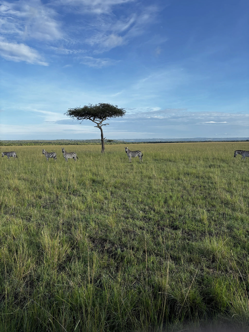 Fairmont Mara Safari Club, AITONG Kenya