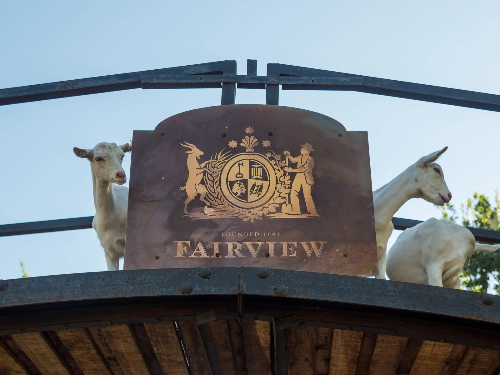 Fairview Wine and Cheese, Paarl South Africa