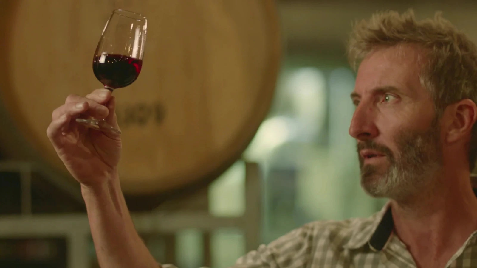 Fairview Wine and Cheese, Paarl South Africa