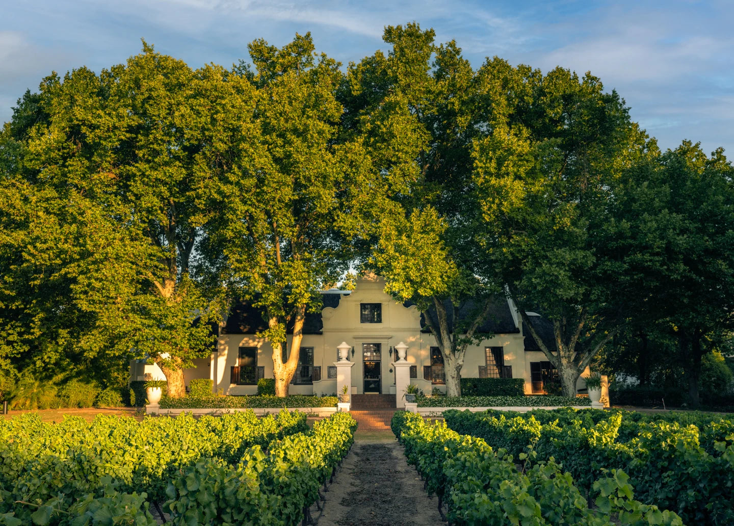 Fairview Wine and Cheese, Paarl South Africa