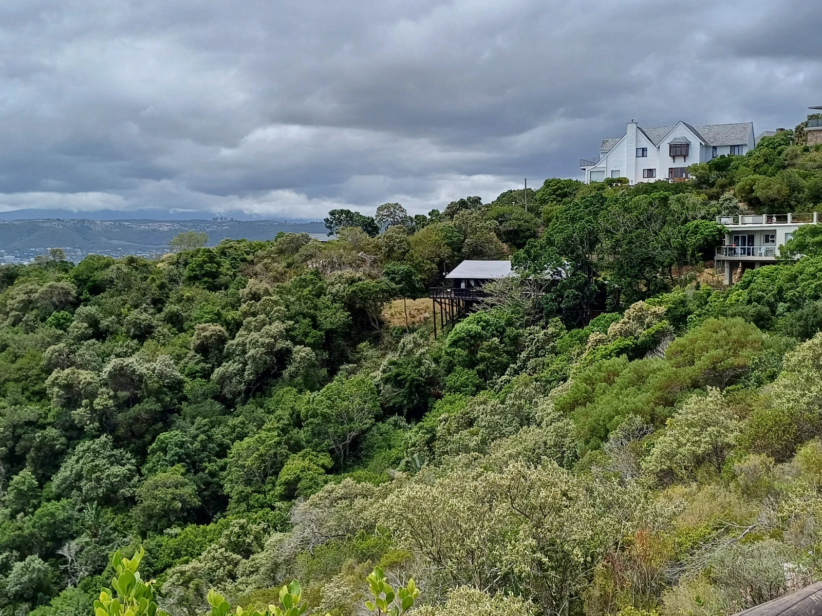 Featherbed Nature Reserve, 
Knysna South Africa