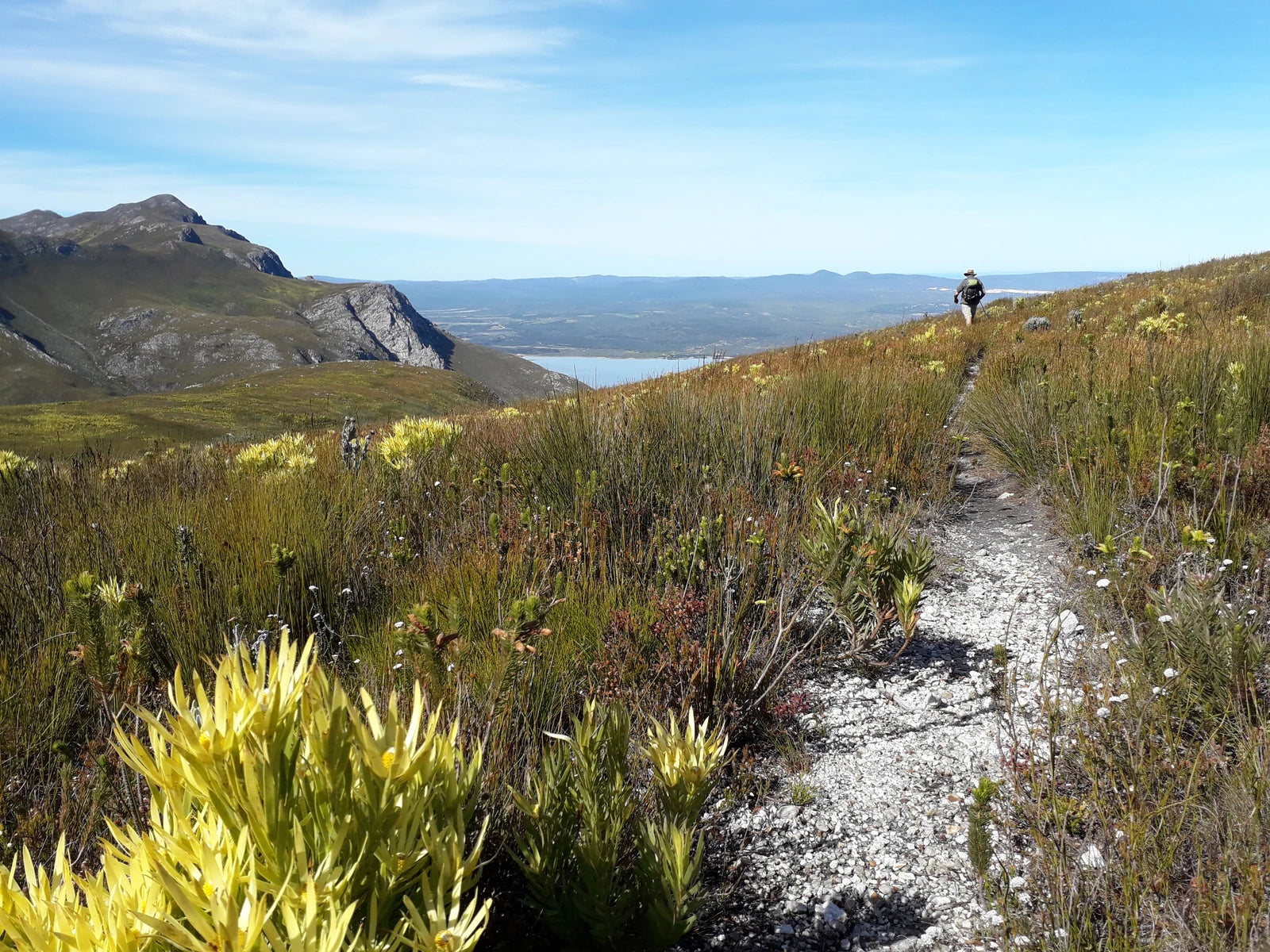 Fernkloof Nature Reserve, 
Hermanus South Africa