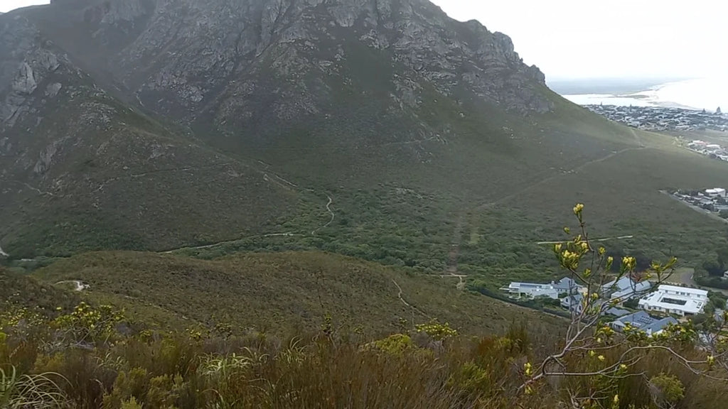 Fernkloof Nature Reserve, 
Hermanus South Africa