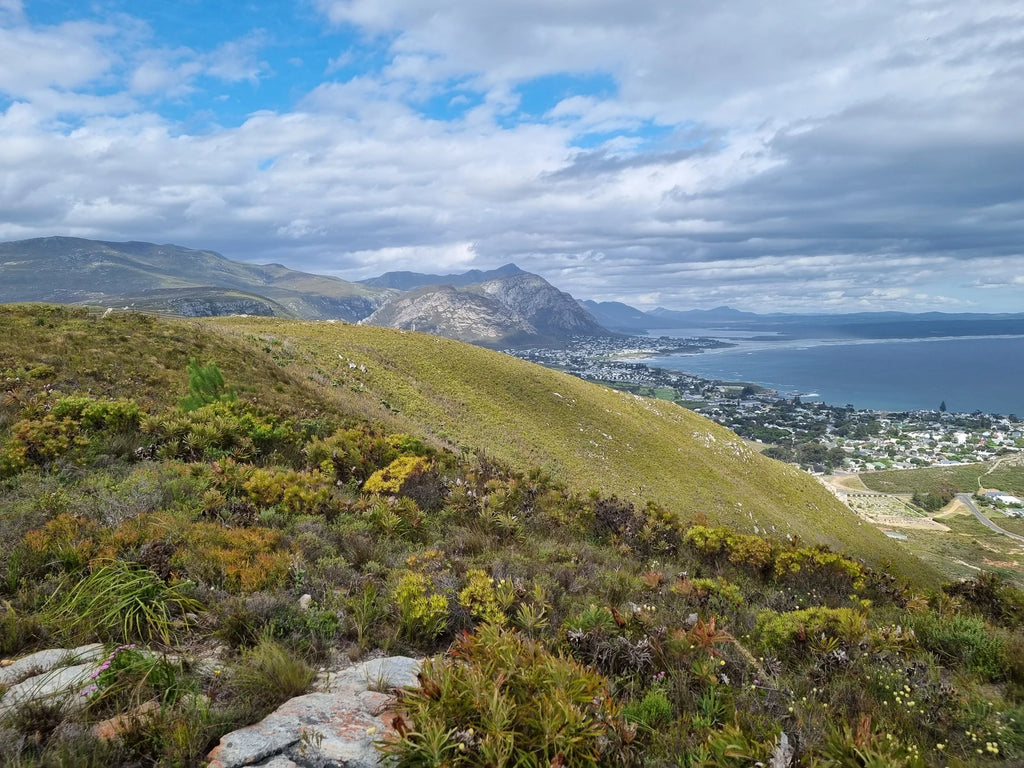 Fernkloof Nature Reserve, 
Hermanus South Africa