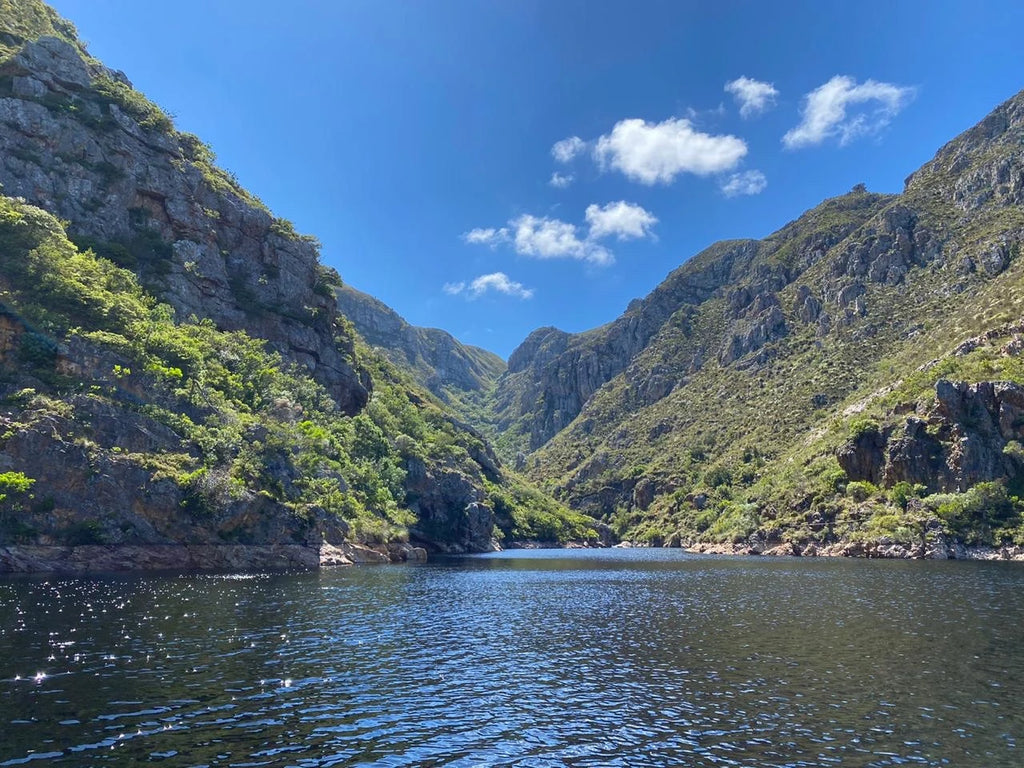 Fernkloof Nature Reserve, 
Hermanus South Africa