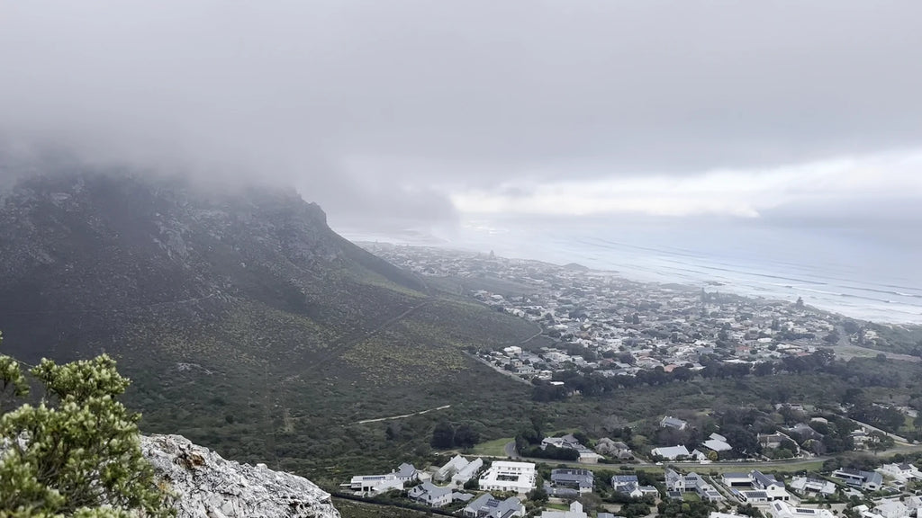 Fernkloof Nature Reserve, 
Hermanus South Africa