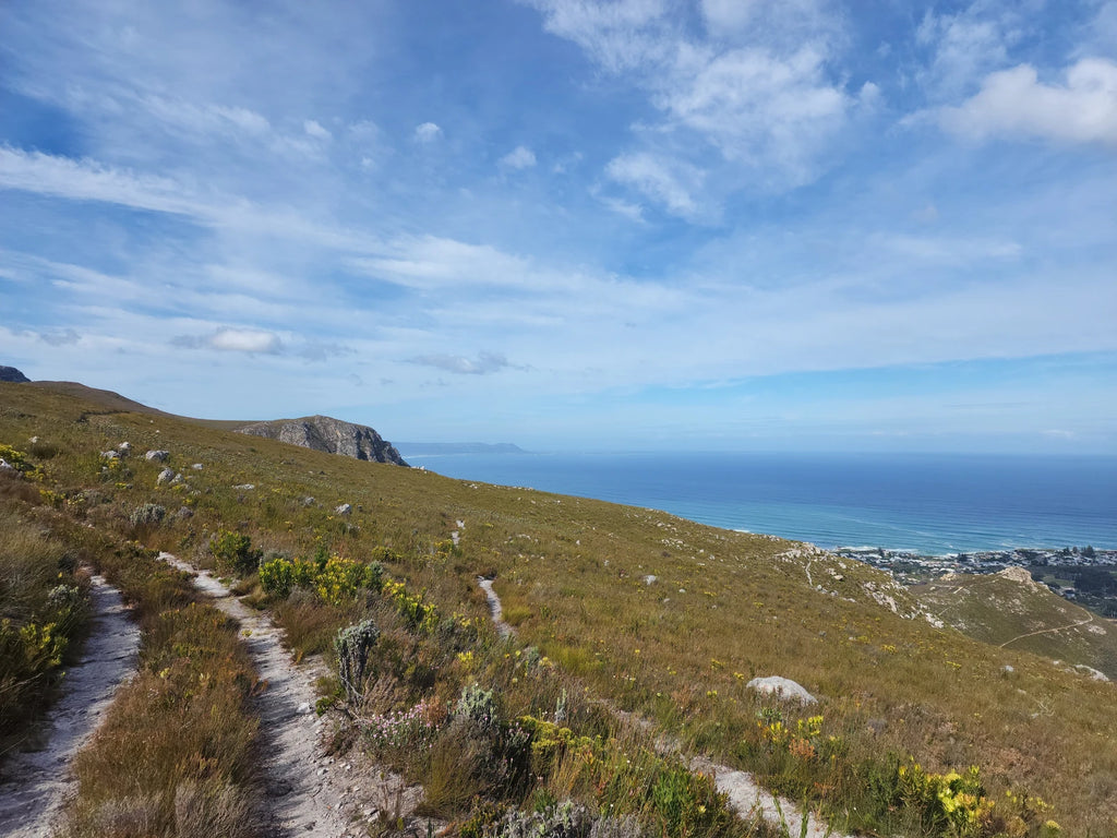 Fernkloof Nature Reserve, 
Hermanus South Africa