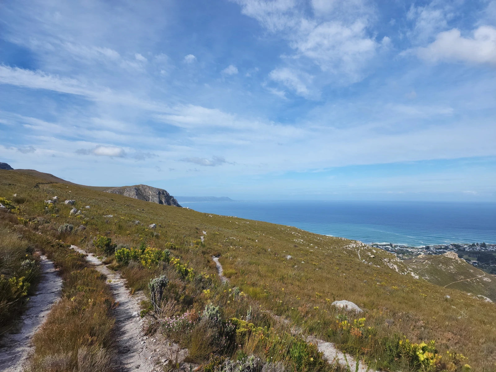 Fernkloof Nature Reserve, 
Hermanus South Africa