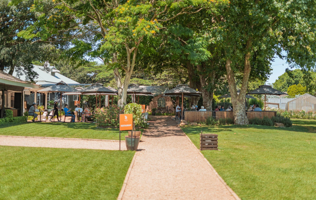 Fig Tree Farm Hillcrest, Durban South Africa