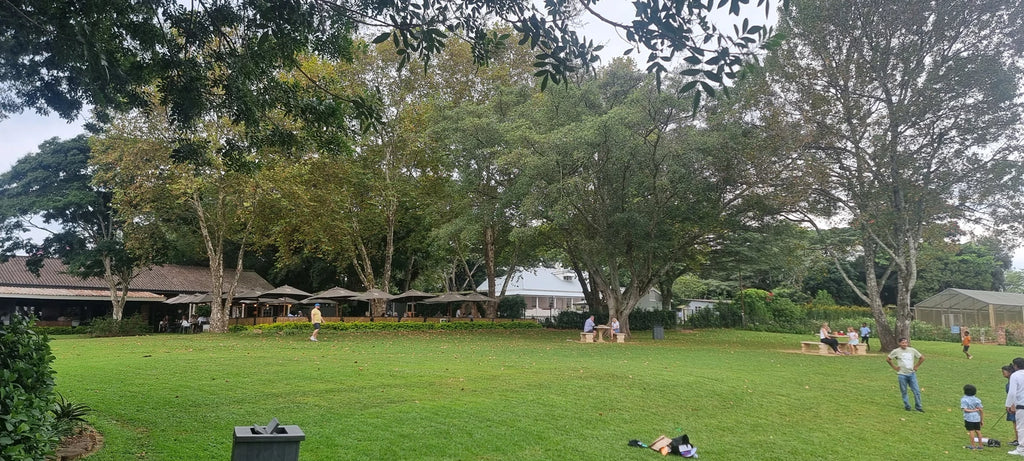 Fig Tree Farm Hillcrest, Durban South Africa