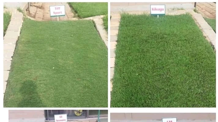 Fine Lines Landscaping, Muldersdrift South Africa
