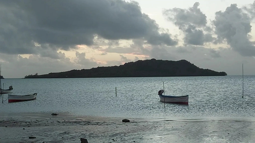 Francois Leguat Reserve Rodrigues, 
Plaine Corail Mauritius