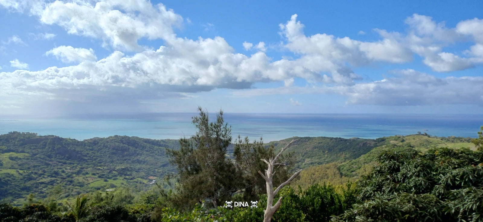 Francois Leguat Reserve Rodrigues, 
Plaine Corail Mauritius