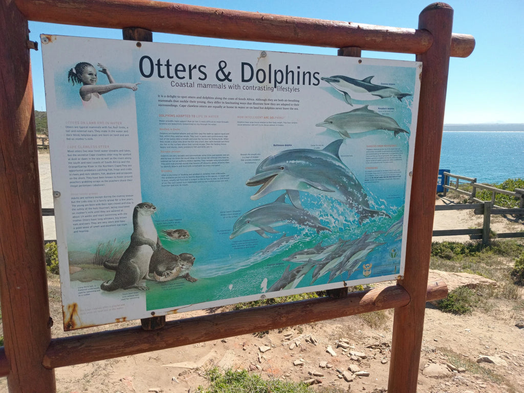 Fransmanshoek Conservancy, 
Vleesbaai South Africa