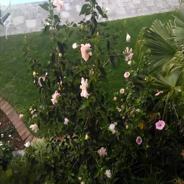 Garden Court Polokwane, Polokwane South Africa