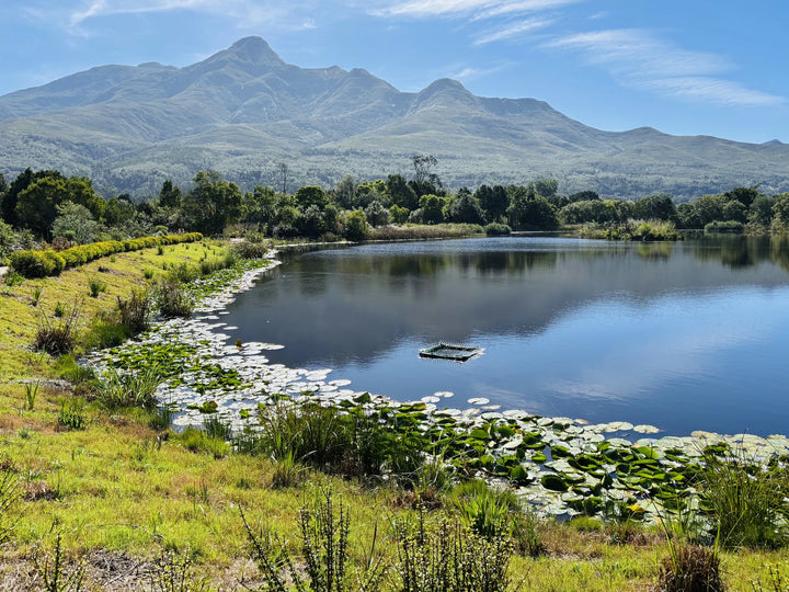 Garden Route Botanical Garden