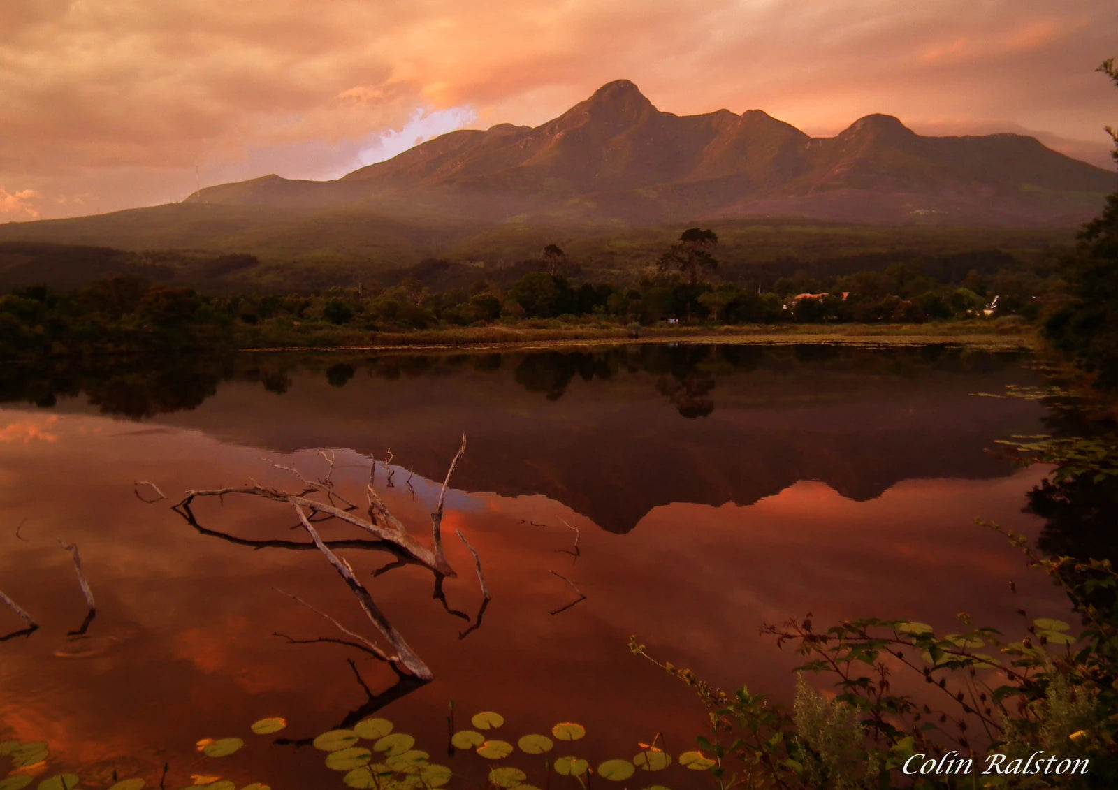 Garden Route Botanical Garden, George South Africa