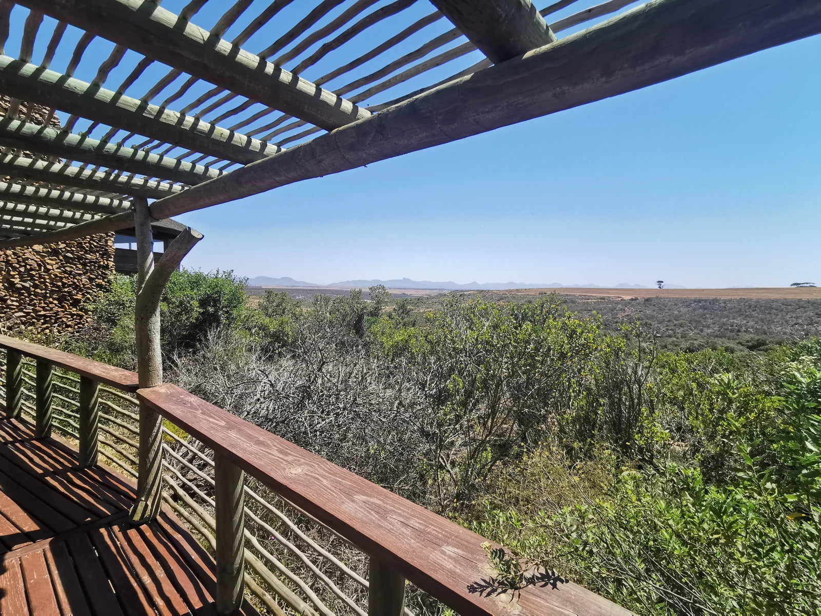 Garden Route Game Lodge, Albertinia South Africa