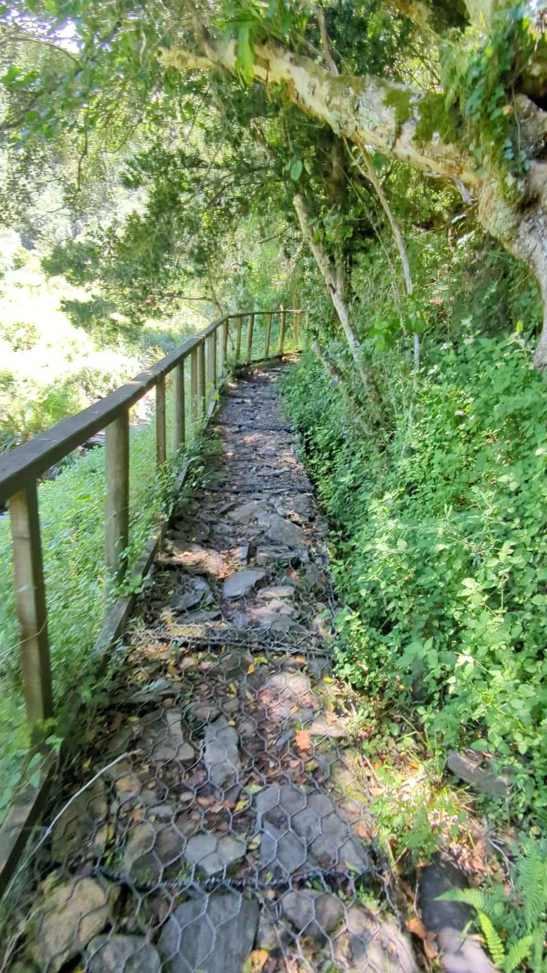 Garden Route National Park - Wilderness Section, 
Wilderness South Africa