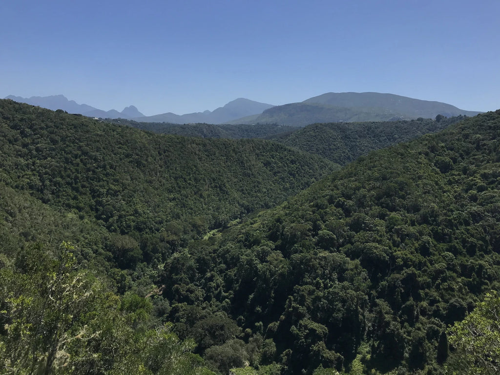 Garden Route National Park - Wilderness Section, 
Wilderness South Africa