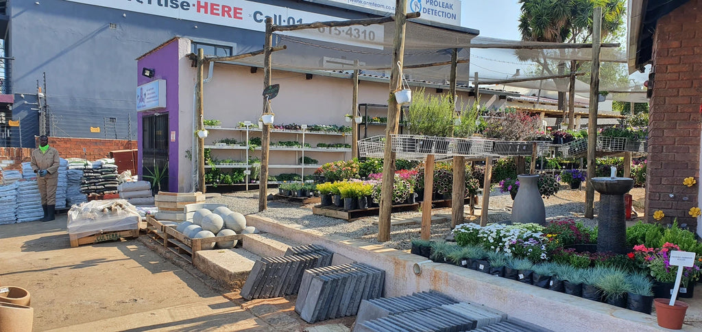 Gardenvale Plant Nursery, Johannesburg South Africa