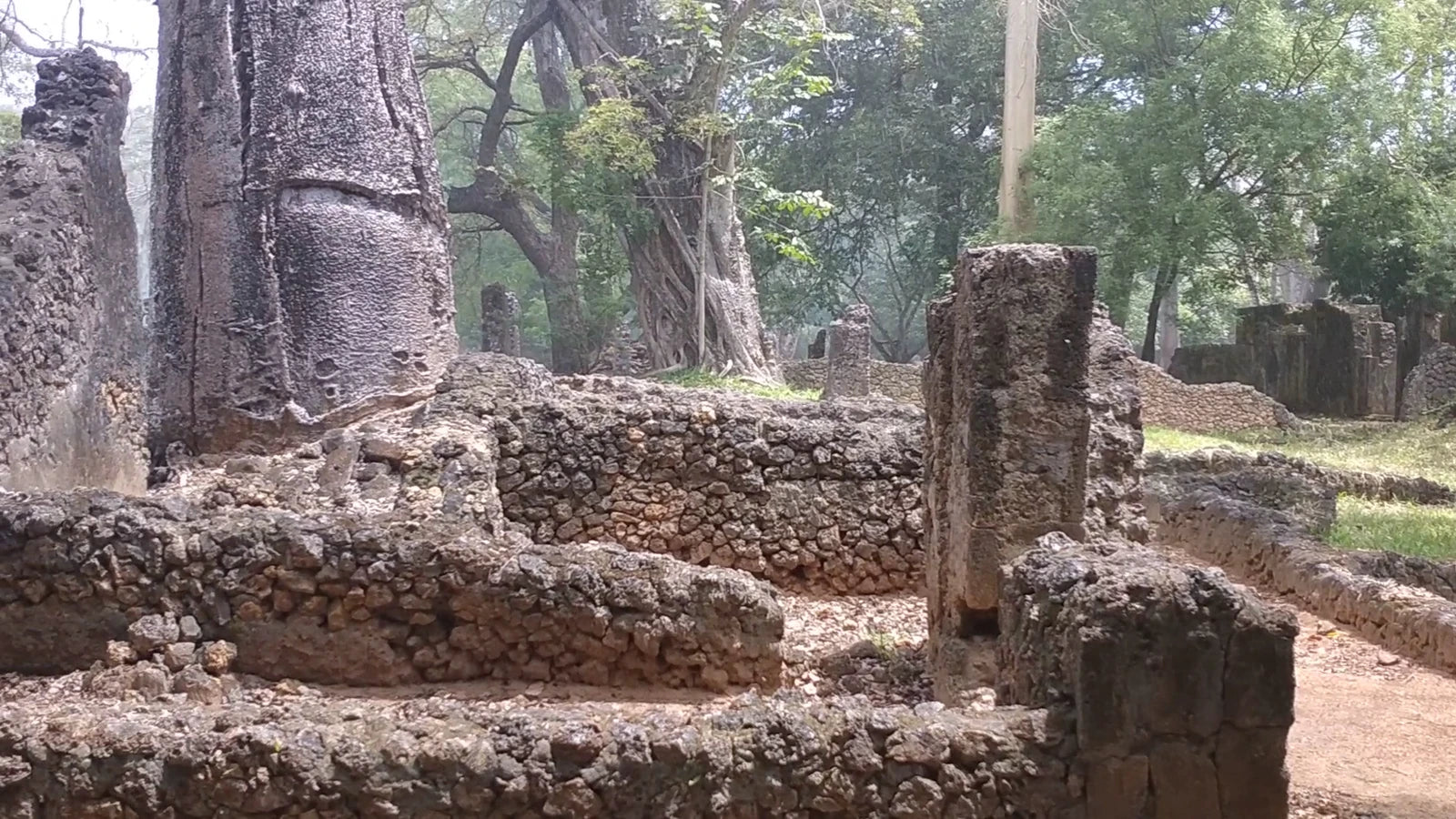 Gedi Ruins Malindi... Snake Park, Gede Watamu Rd Kenya