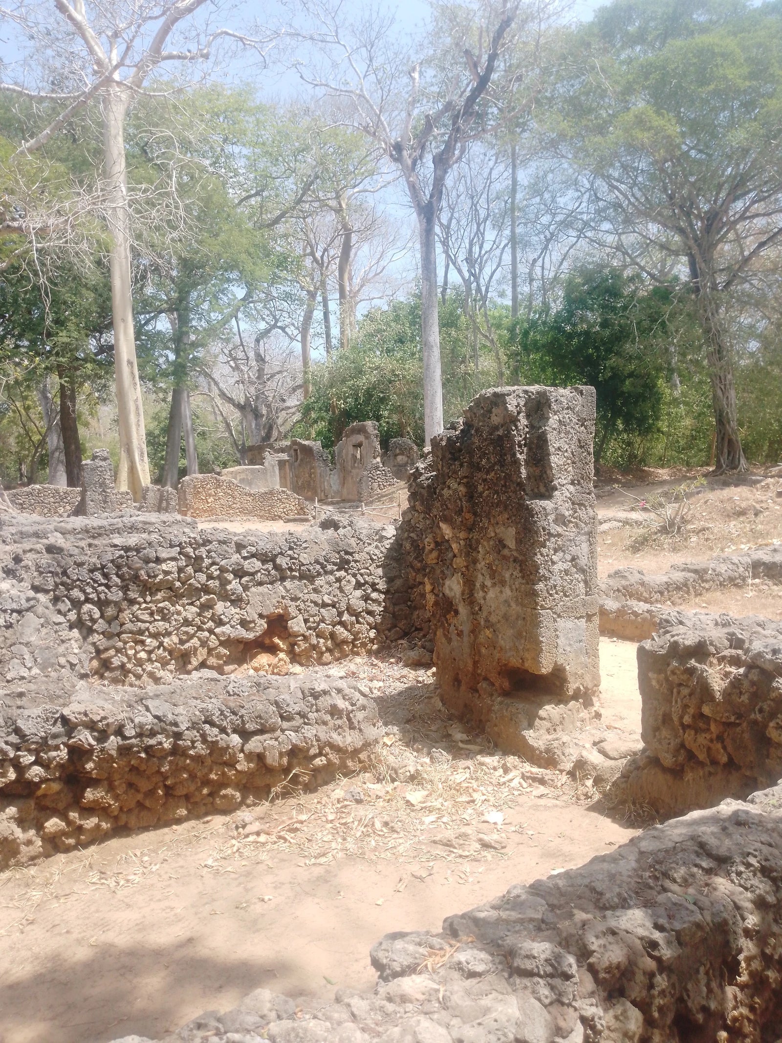 Gedi Ruins Malindi... Snake Park, Gede Watamu Rd Kenya