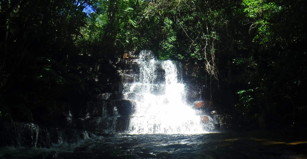 Giba Gorge Mountain Bike Park, Pinetown South Africa
