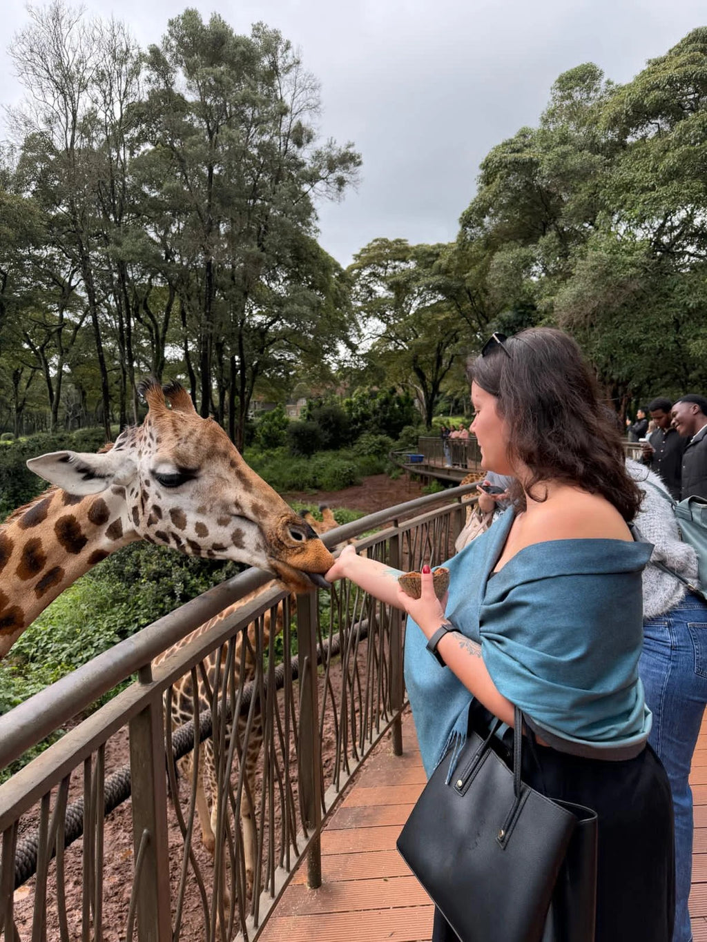 Giraffe Centre, Nairobi Kenya
