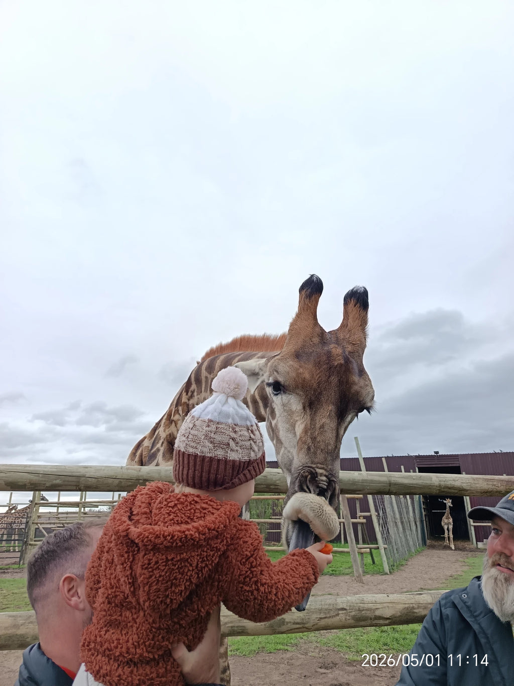 Giraffe House, Cape Town South Africa