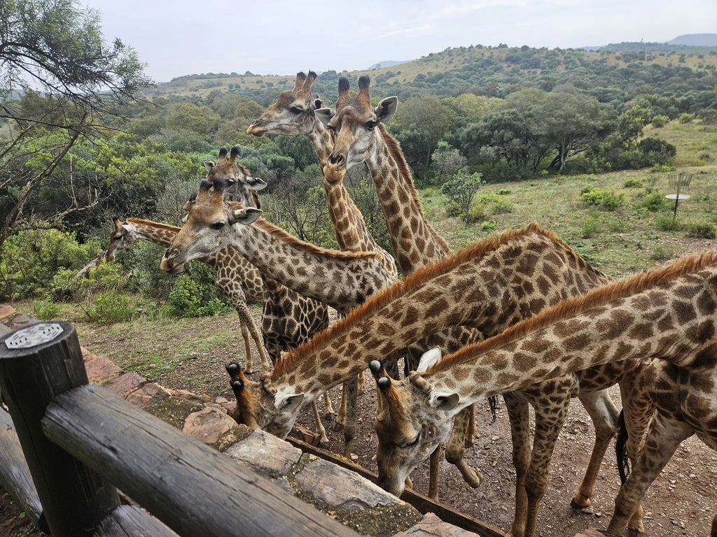 Glen Afric Country Lodge, Hartbeespoort South Africa