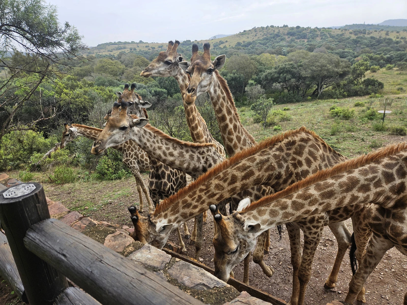 Glen Afric Country Lodge, Hartbeespoort South Africa