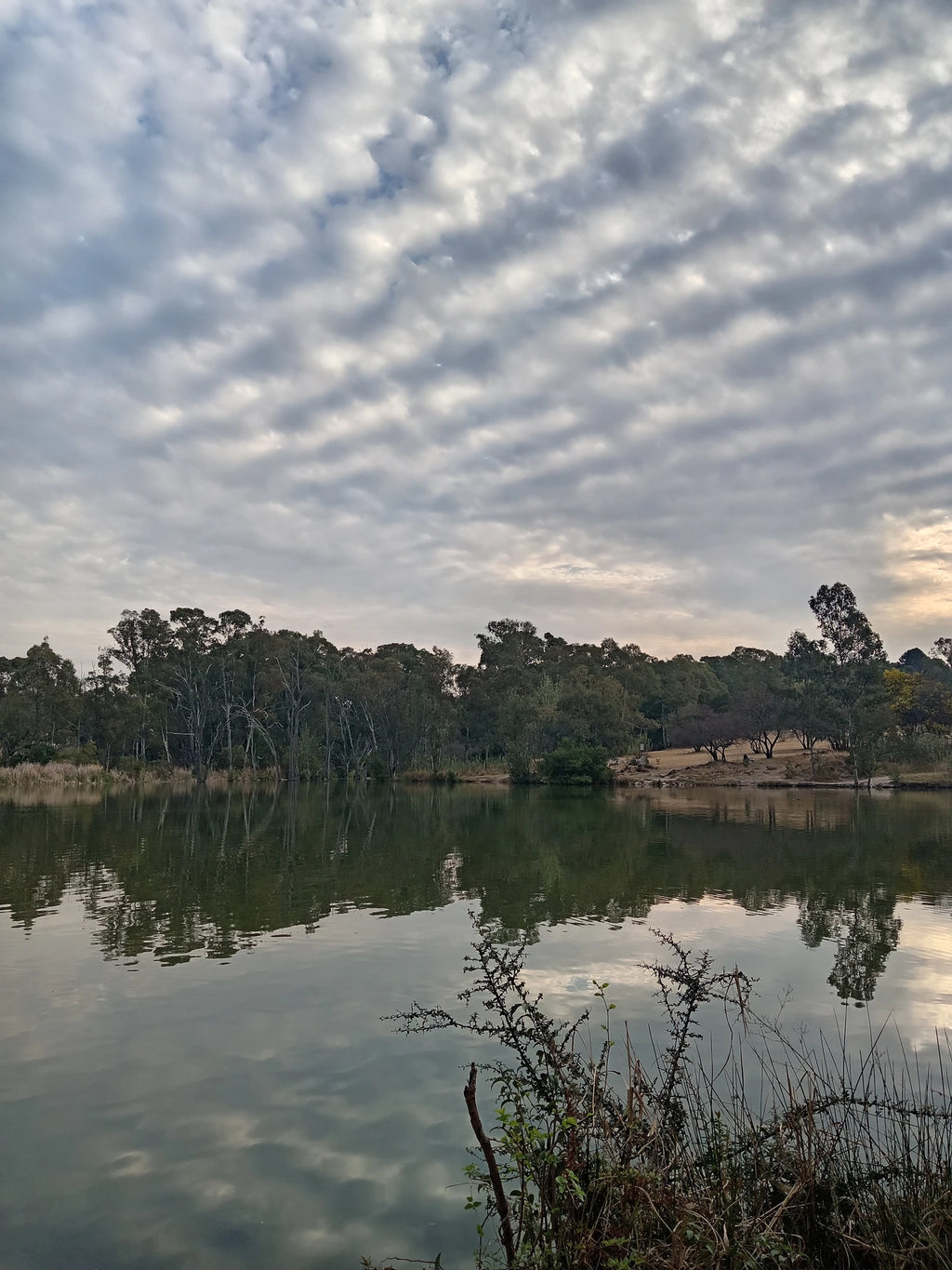 Golden Harvest Park, Randburg South Africa