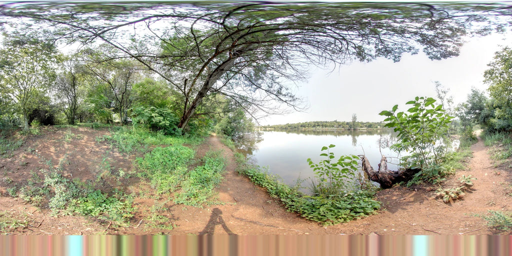 Golden Harvest Park, Randburg South Africa