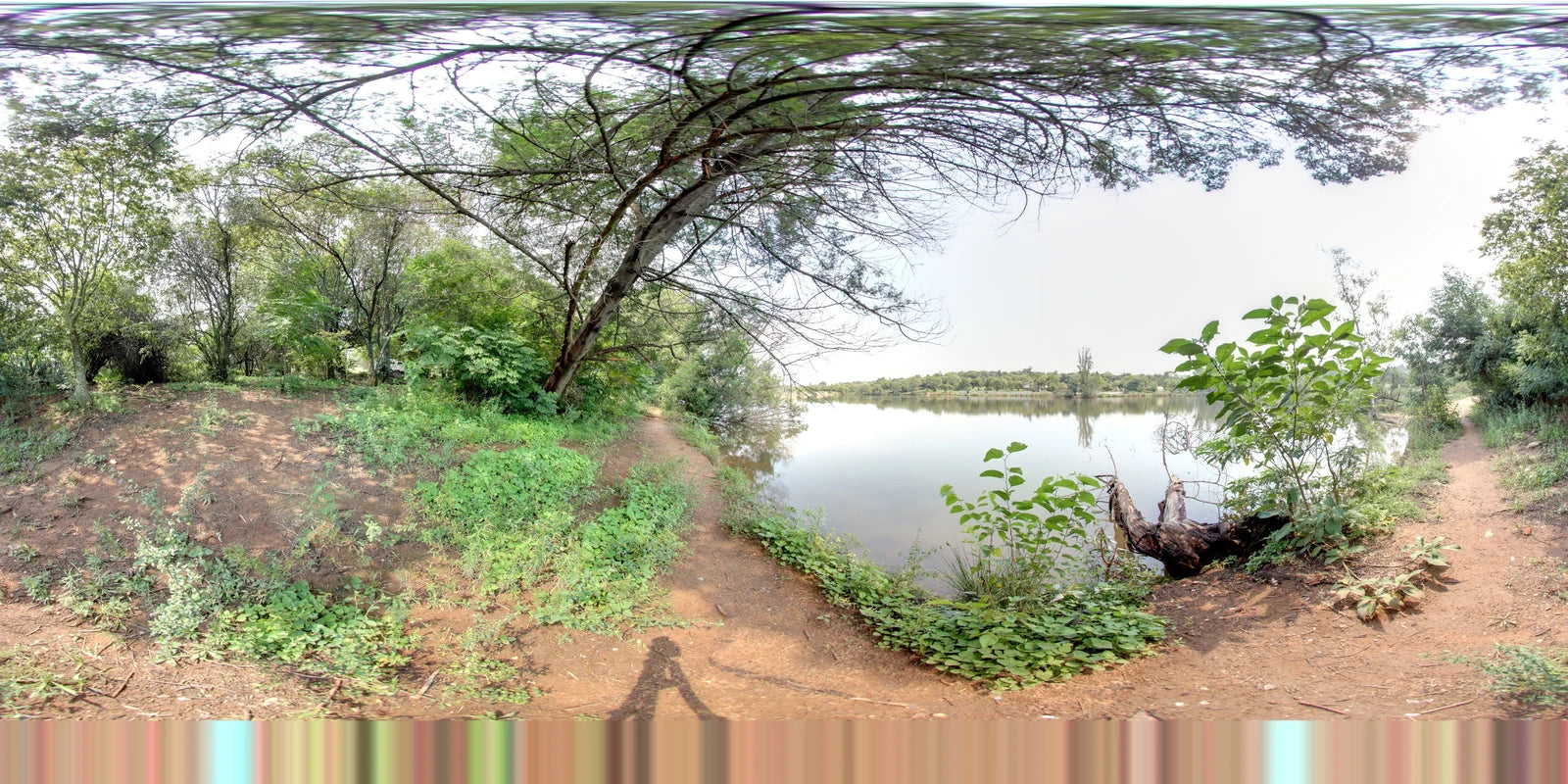 Golden Harvest Park, Randburg South Africa
