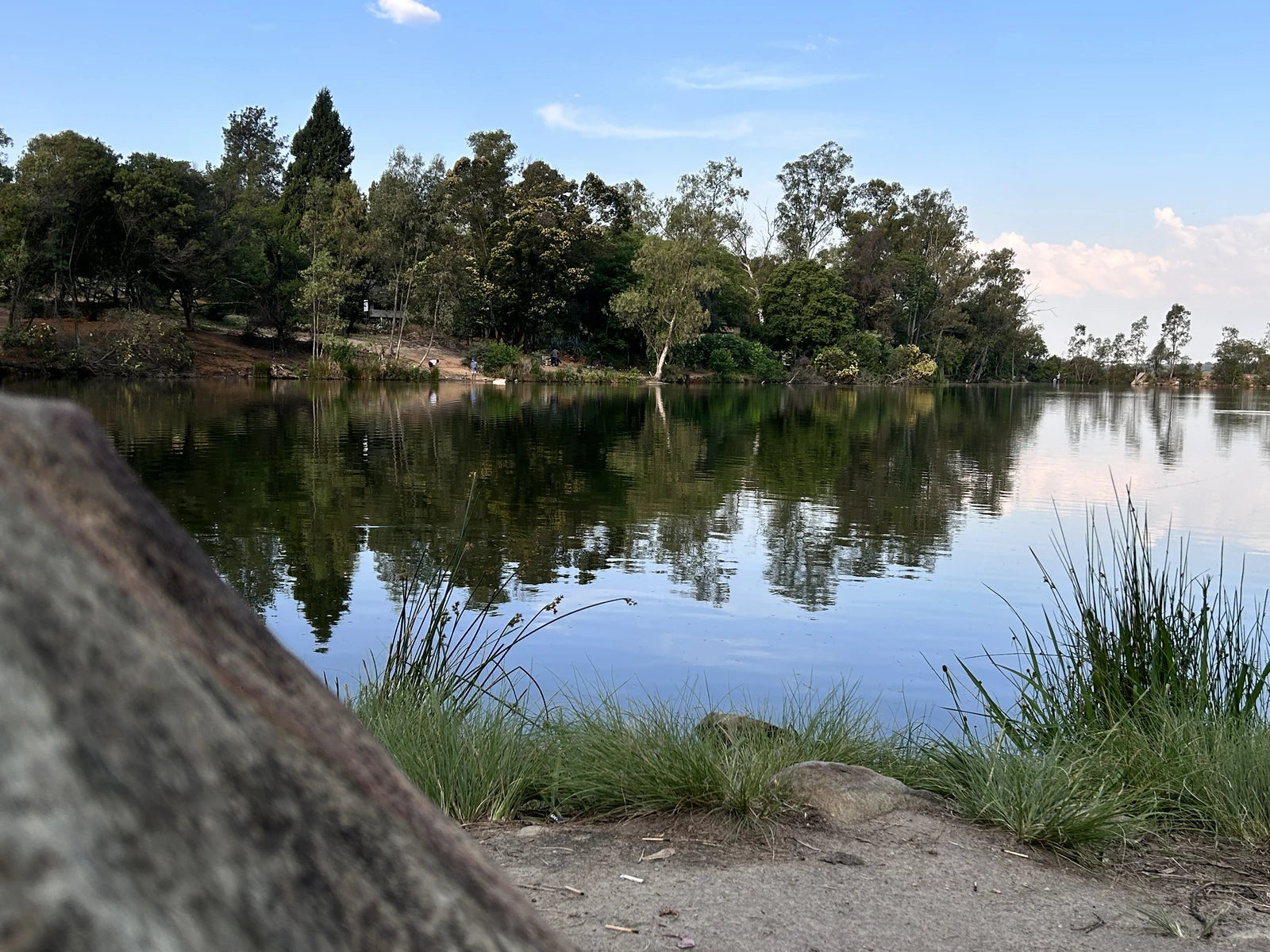 Golden Harvest Park, Randburg South Africa