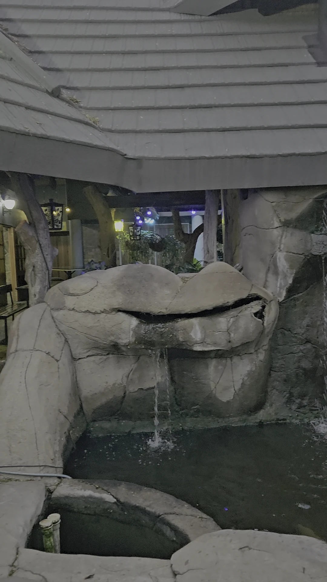 Golden Pillow Overnight Accommodation, Polokwane South Africa