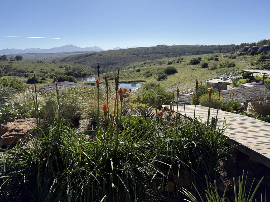 Gondwana Private Game Reserve, Herbertsdale South Africa