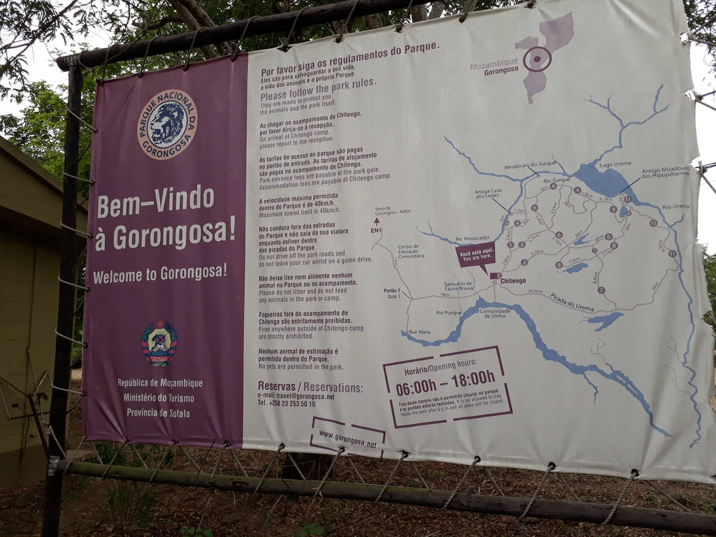 Gorongosa National Park, Goinha Mozambique